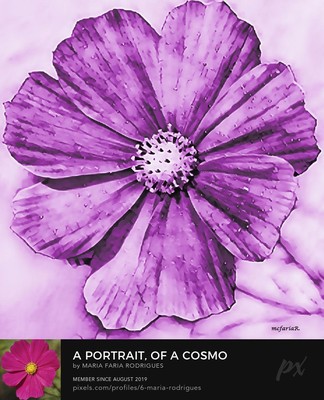 Portrait Of A Cosmo